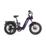 Vélo à assistance électrique Cyrusher Kommoda 3.0 – Bild 5