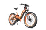 vélo à assistance électrique Cyrusher Trax – Bild 3
