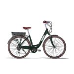 Vélo électrique Folio Brumaire